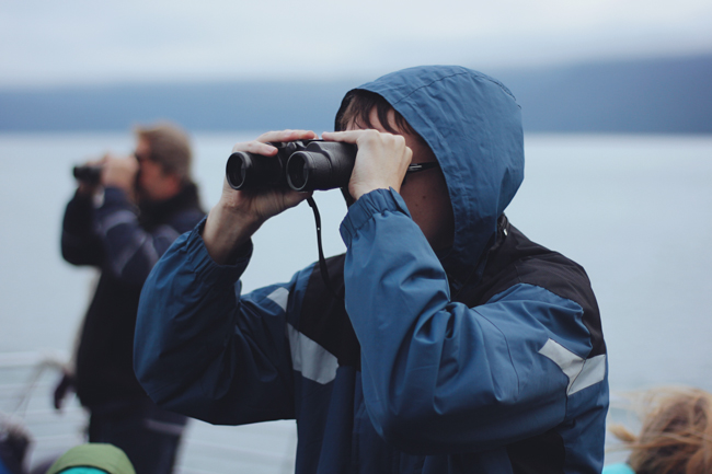 ml_alaska_012